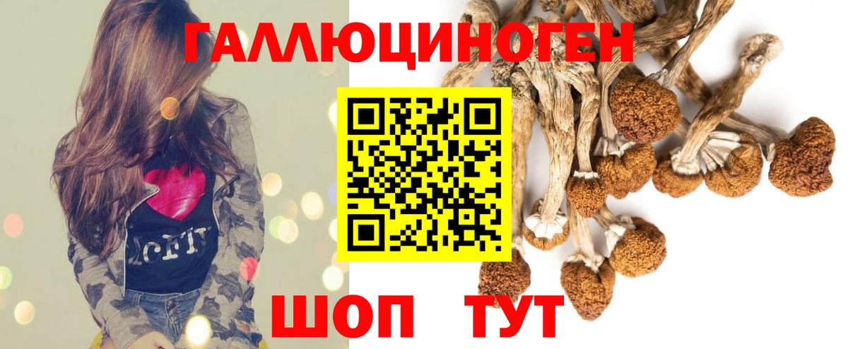 Галлюциногенные грибы мицелий  где купить наркотик  Конаково  Псилоцибиновые грибы Psilocybe  Вход с VPN 